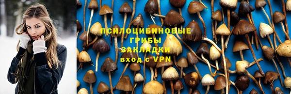кокс Аркадак
